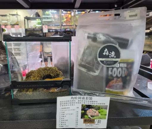 角蛙飼養套裝